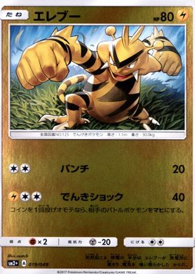 2017 Japanese Sun & Moon: Facing a New Trial #19/49 Reverse Holo
