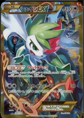 2017 Japanese XY: Best of XY #188/171 Holo (Secret)