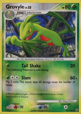 2008 Diamond & Pearl: Stormfront #039/100 Reverse Holo