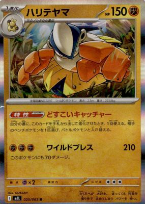 2025 Japanese Mega Brave #25/63 Holo