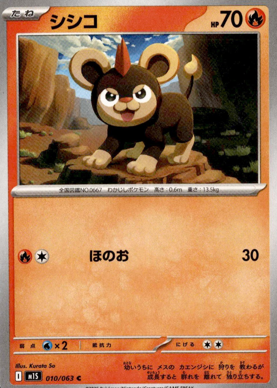 all 151 pokemon cards framed Cheapest way to display your OG and rarest Pokemon cards! framing 151 tcg  pokemon