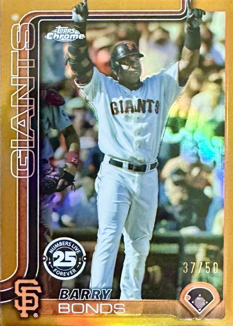 1411261?ts=1756772327619