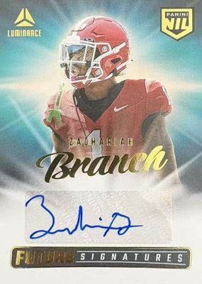 2025 Luminance #NIL-ZBH Future Signatures NIL
