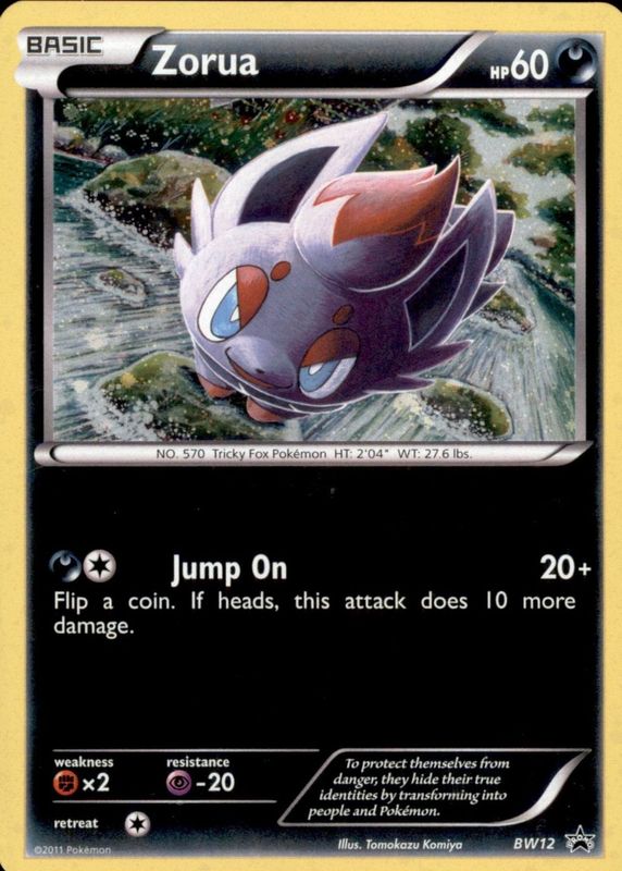 2 black stars on pokemon cards Zekrom-EX BW38/101 - BW Star Promos Holofoil proof acrylic case Tyranitar XY Black Star Promos
