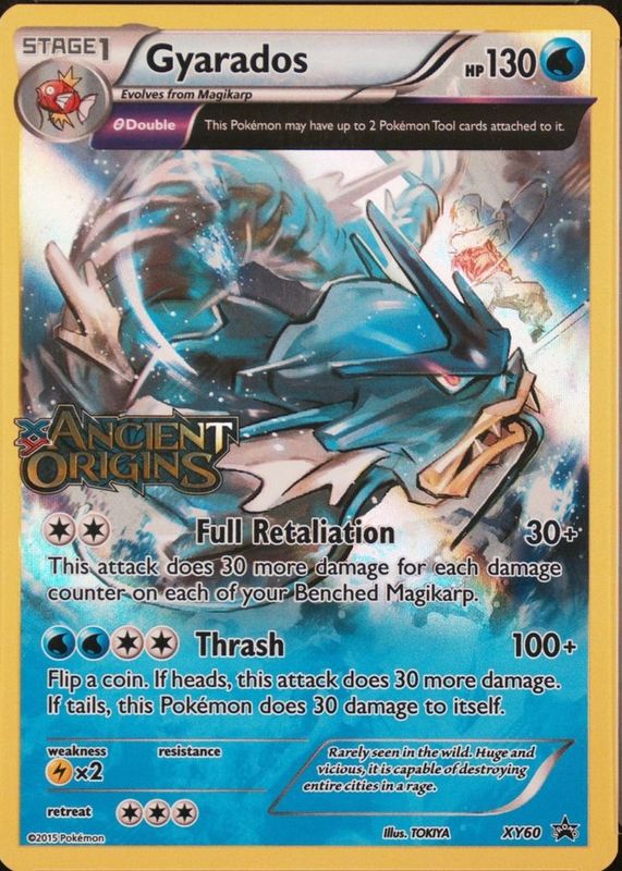 2015 XY: Black Star Promo #XY60 Holo (Prerelease)