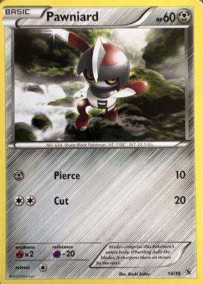 2013 XY: Kalos Starter Set #19/39 Base