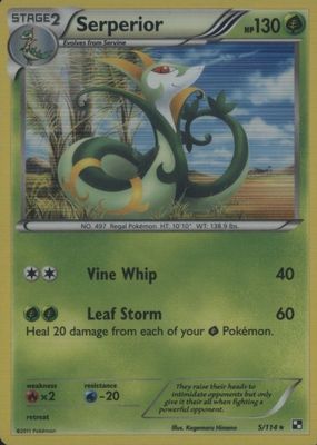 2011 Black & White #005/114 Holo