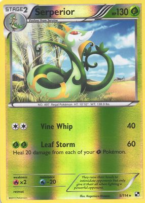 2011 Black & White #005/114 Reverse Holo