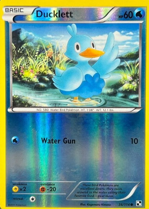 Ducklett 2011 Black & White #036/114 Reverse Holo RAW TCG (LIGHTLY PLAYED)