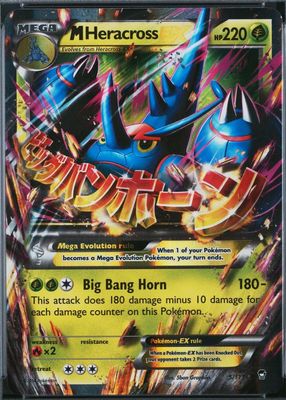 2014 XY: Furious Fists #005/111 Holo