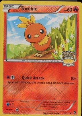 2014 XY: Furious Fists #012/111 Promo (City Championships)