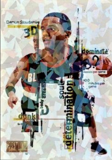 Damon Stoudamire 1998 Skybox Premium #9-DDD 3D Price Guide 