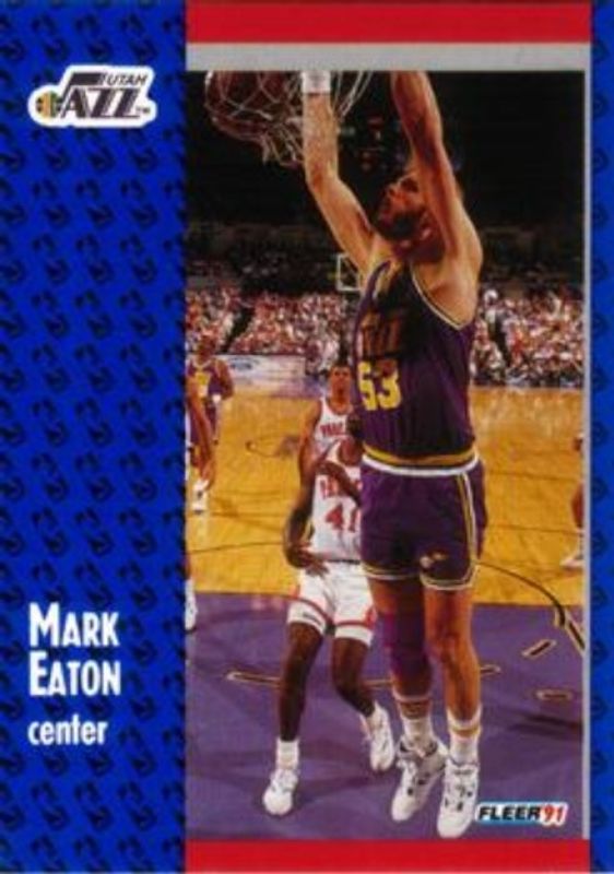 1991 Fleer #198 Base