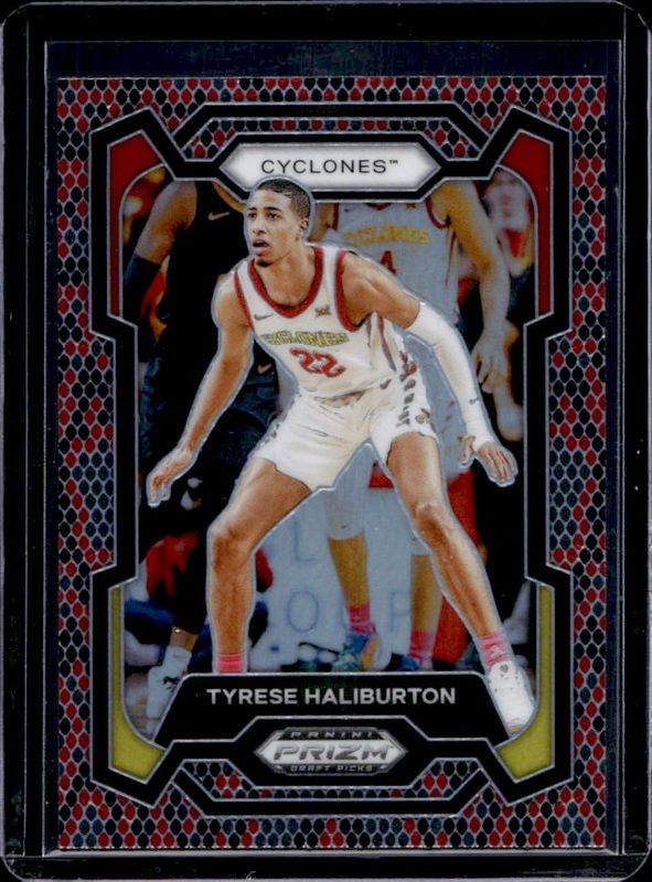 Tyrese Haliburton 2024 Prizm Draft Picks #65 Snakeskin /(SSP) RAW