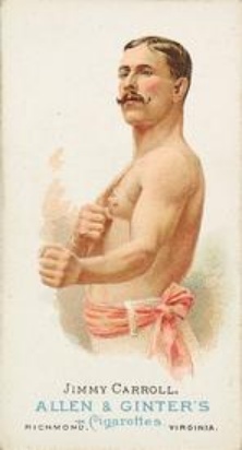 Jimmy Carroll 1887 World's Champions (N28) Base Price Guide - Sports ...