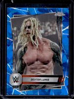 Shop this card on ebay_jobs