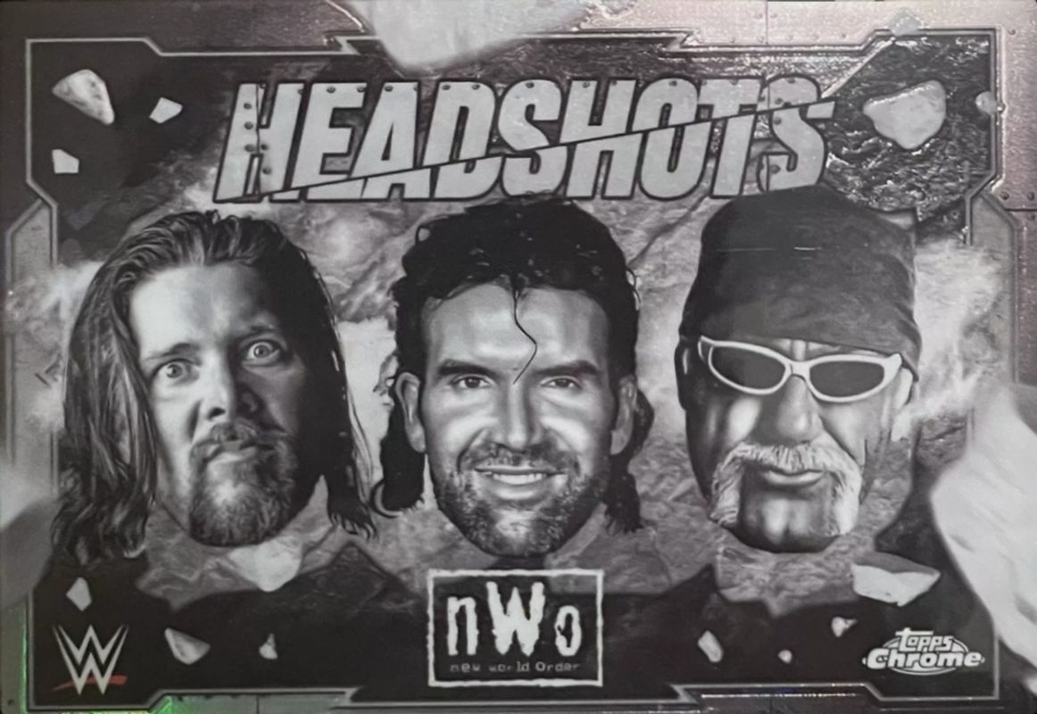 Hollywood Hogan / Kevin Nash / Scott Hall Wrestling Cards Price