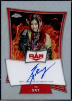 Shop this card on ebay_jobs