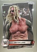 Shop this card on ebay_jobs