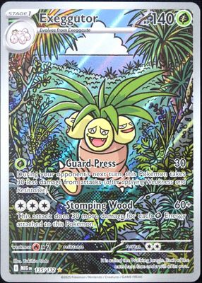 2025 Mega Evolution #135/132 Illustration Rare
