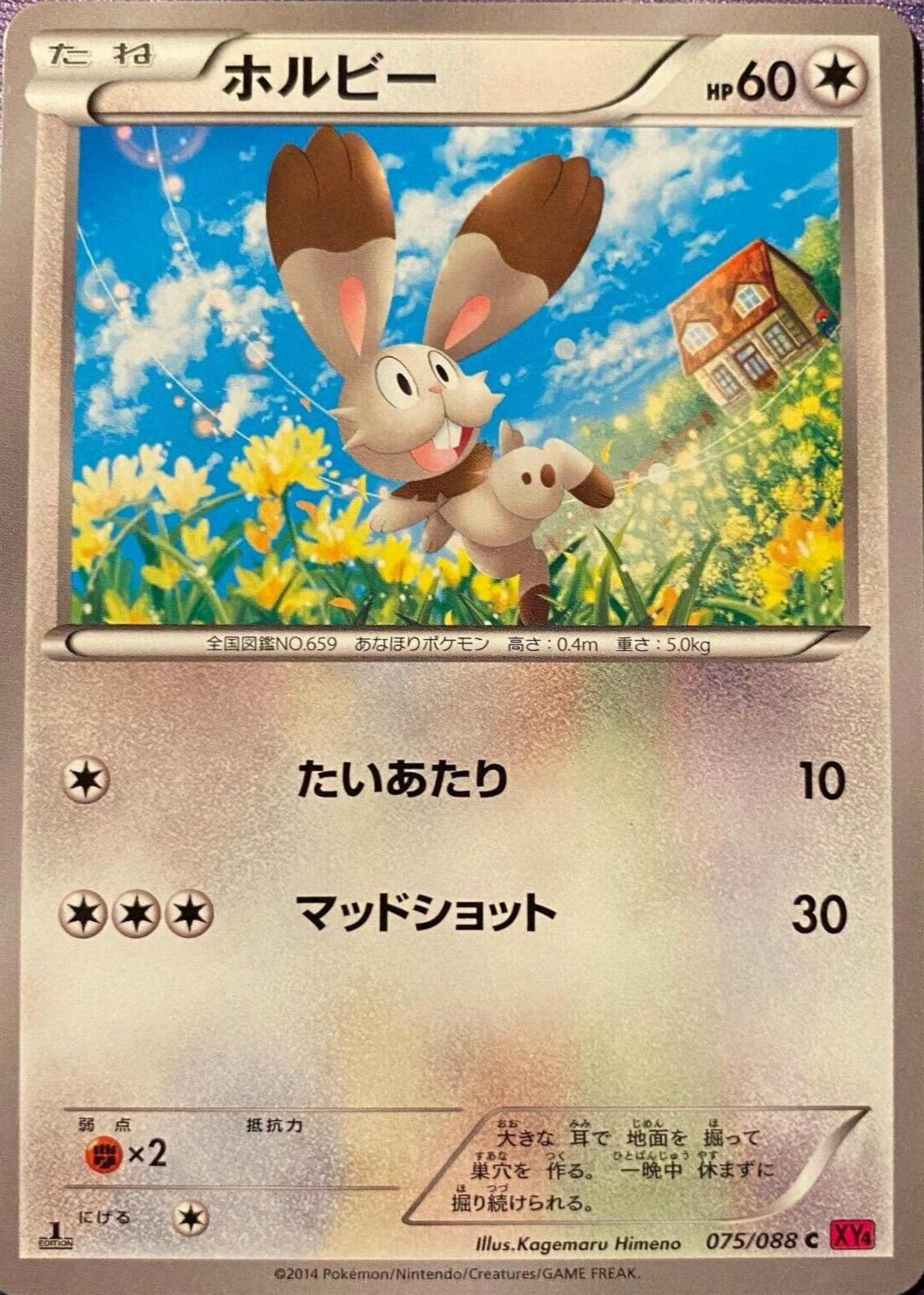 shiny bunnelby pokemon card - SV097/SV122 - Shining Fates - Vault holofoil pattern or surface detail) Bunnelby Shiny Holo Rare SV097/SV122