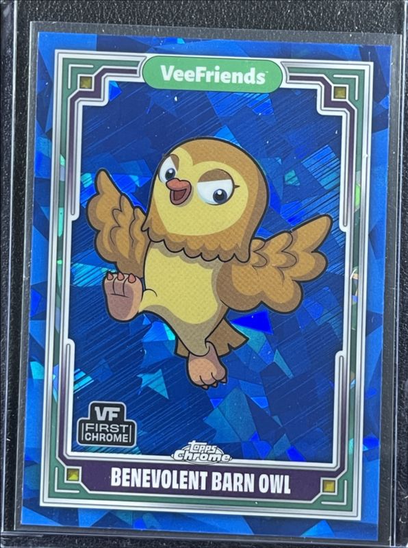 2025 Topps Chrome VeeFriends Sapphire #78 Base Sapphire