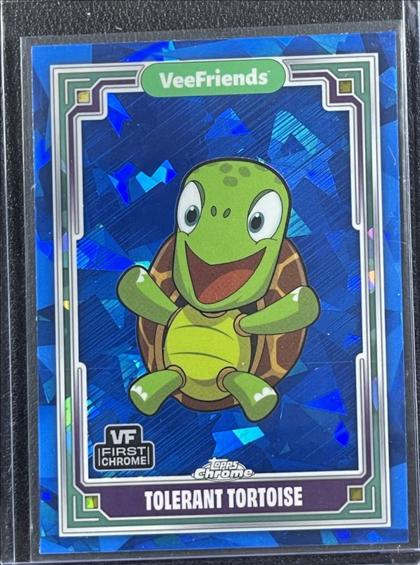 Tolerant Tortoise 2025 Topps Chrome VeeFriends Sapphire #93 Base Sapphire RAW