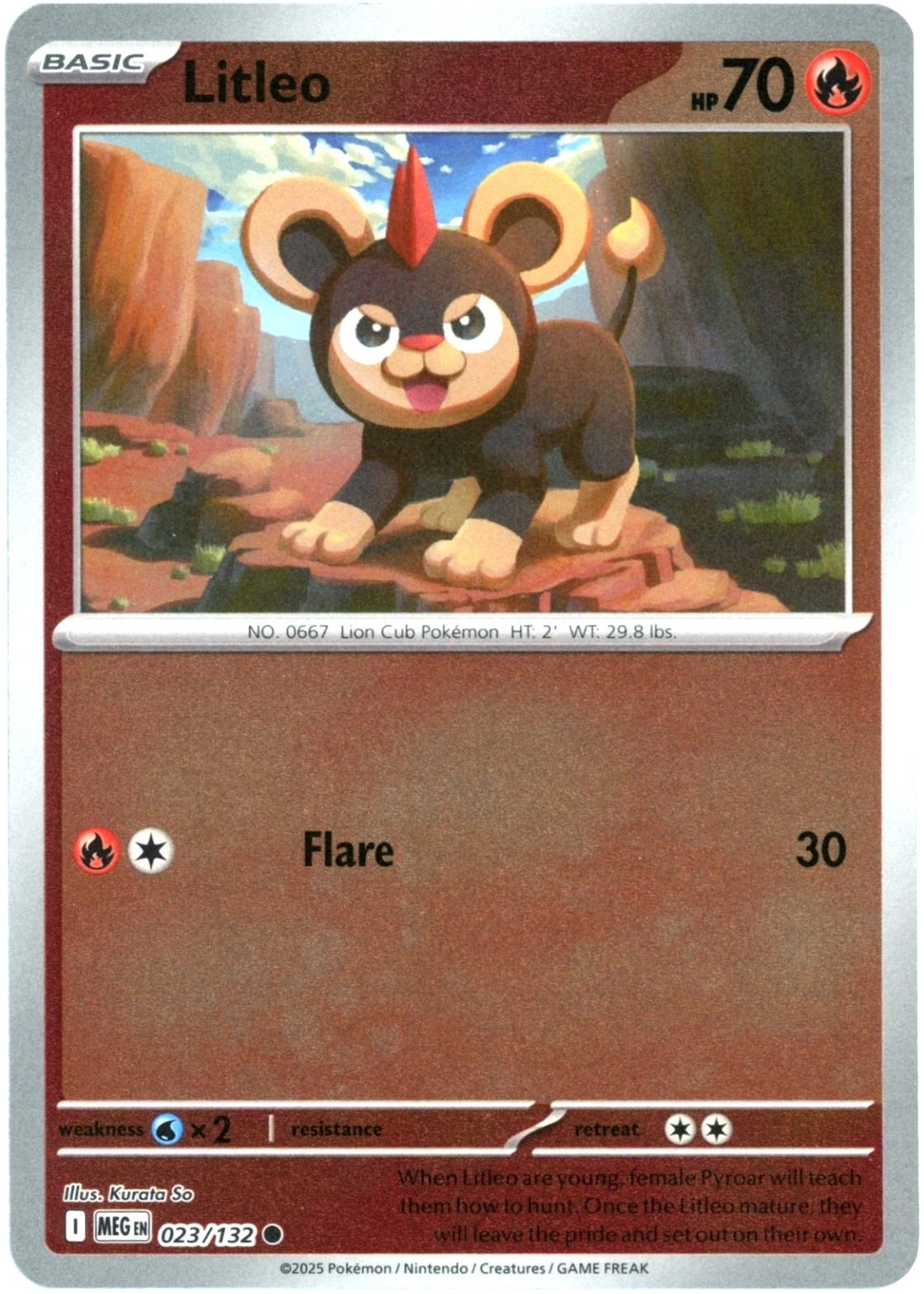 are pokemon cards sold out Pokmon FINALLY Said Something