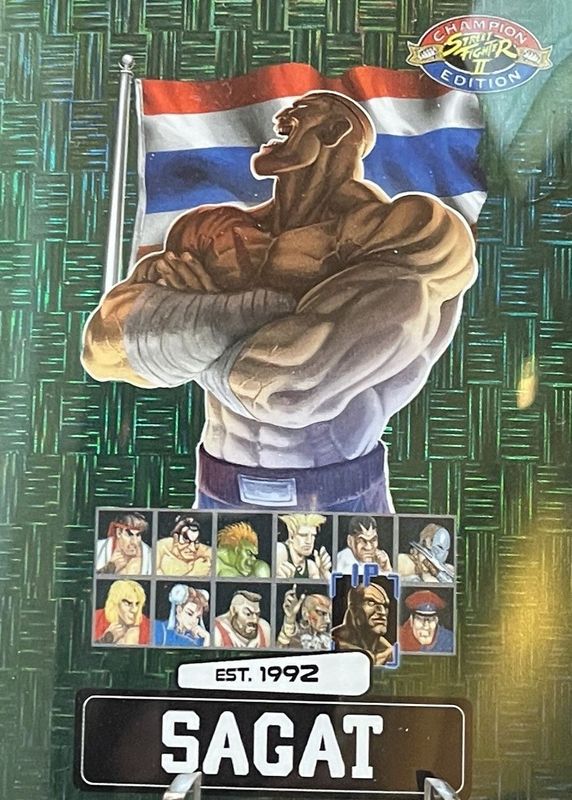 2025 Street Fighter 2: Champion Edition #PSA-17 Green /100