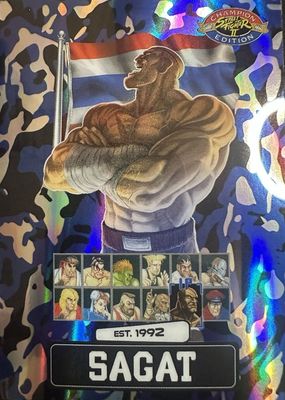 2025 Street Fighter 2: Champion Edition #PSA-15 Blue Camo /100