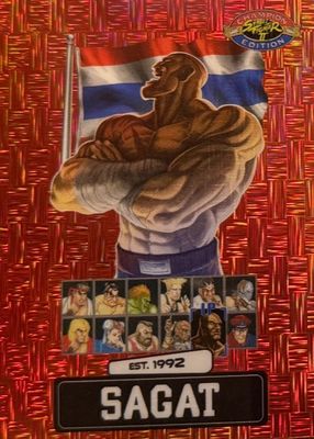 2025 Street Fighter 2: Champion Edition #PSA-12 Red Matrix /100