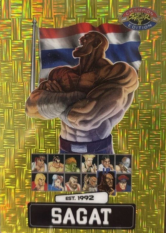 2025 Street Fighter 2: Champion Edition #PSA-6 Gold Matrix /100