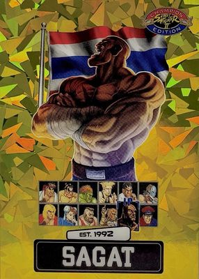 2025 Street Fighter 2: Champion Edition #PSA-5 Gold Ice /100