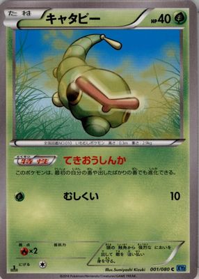 2014 Japanese XY: Wild Blaze #001/080 1st Edition