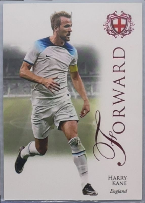 Harry Kane 2023 Futera Unique World Football #072 Pink /55 RAW