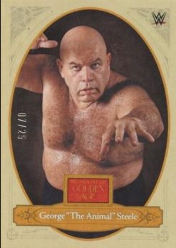 2023 Chronicles WWE #182 Holo Silver /25