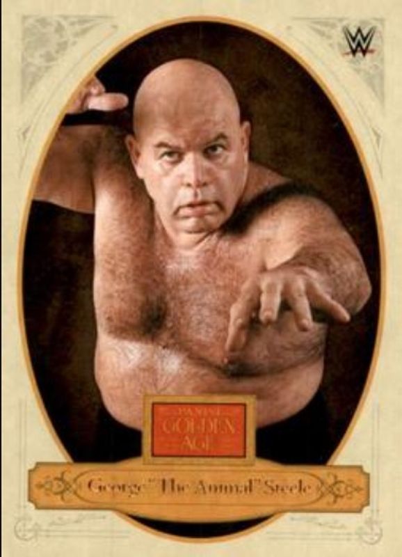 2023 Chronicles WWE #182 Bronze