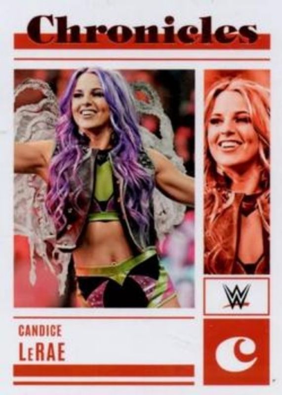 2023 Chronicles WWE #97 Bronze