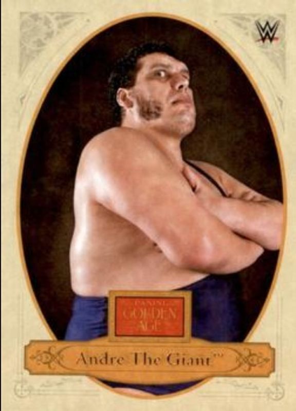 2023 Chronicles WWE #176 Bronze