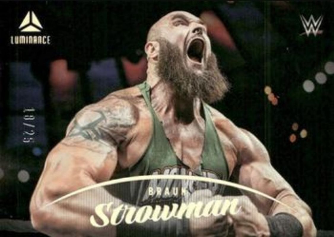 2023 Chronicles WWE #173 Holo Silver /25