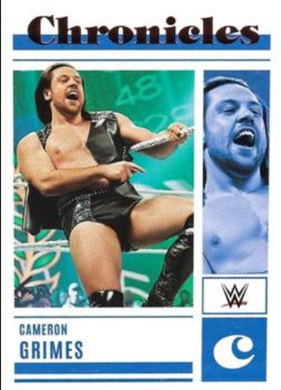 2023 Chronicles WWE #33 Bronze