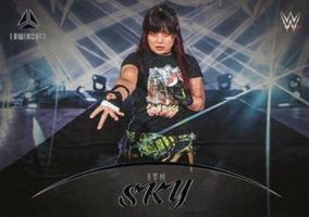 Shop this card on ebay_jobs