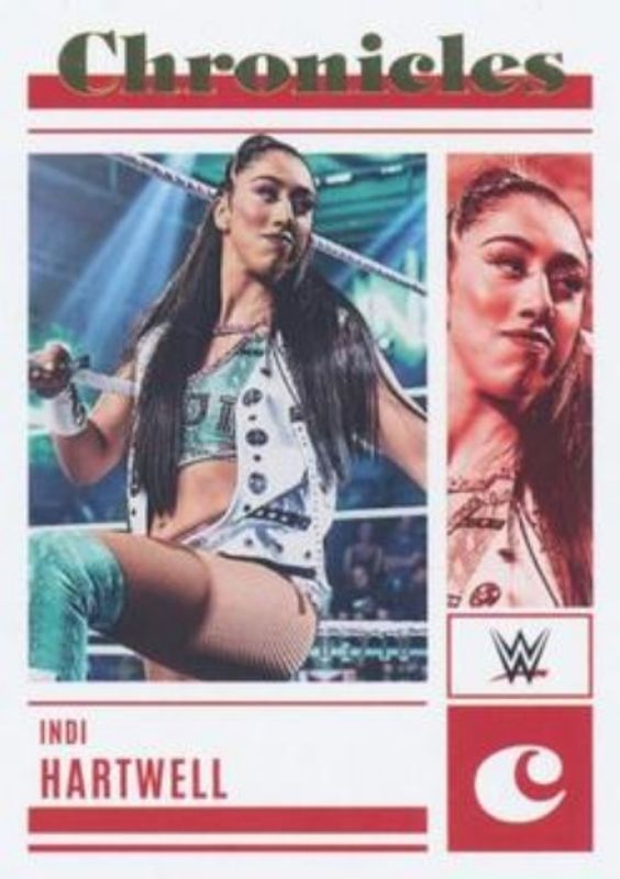 2023 Chronicles WWE #83 Gold /10
