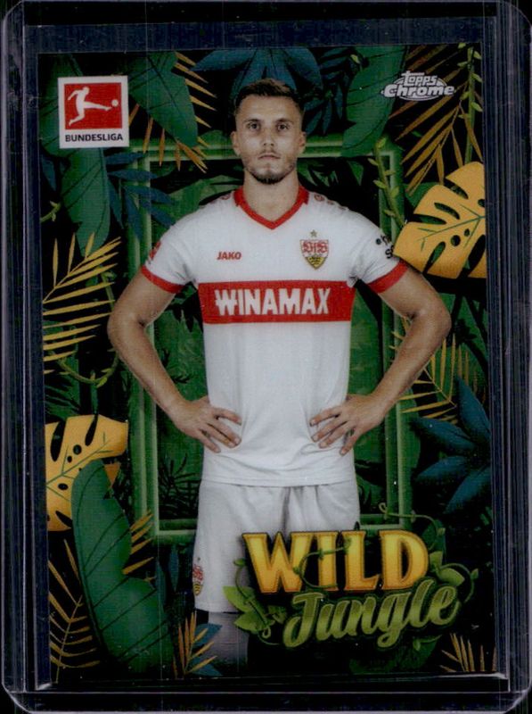 2024 Topps Chrome Bundesliga #WJ-9 Wild Jungle