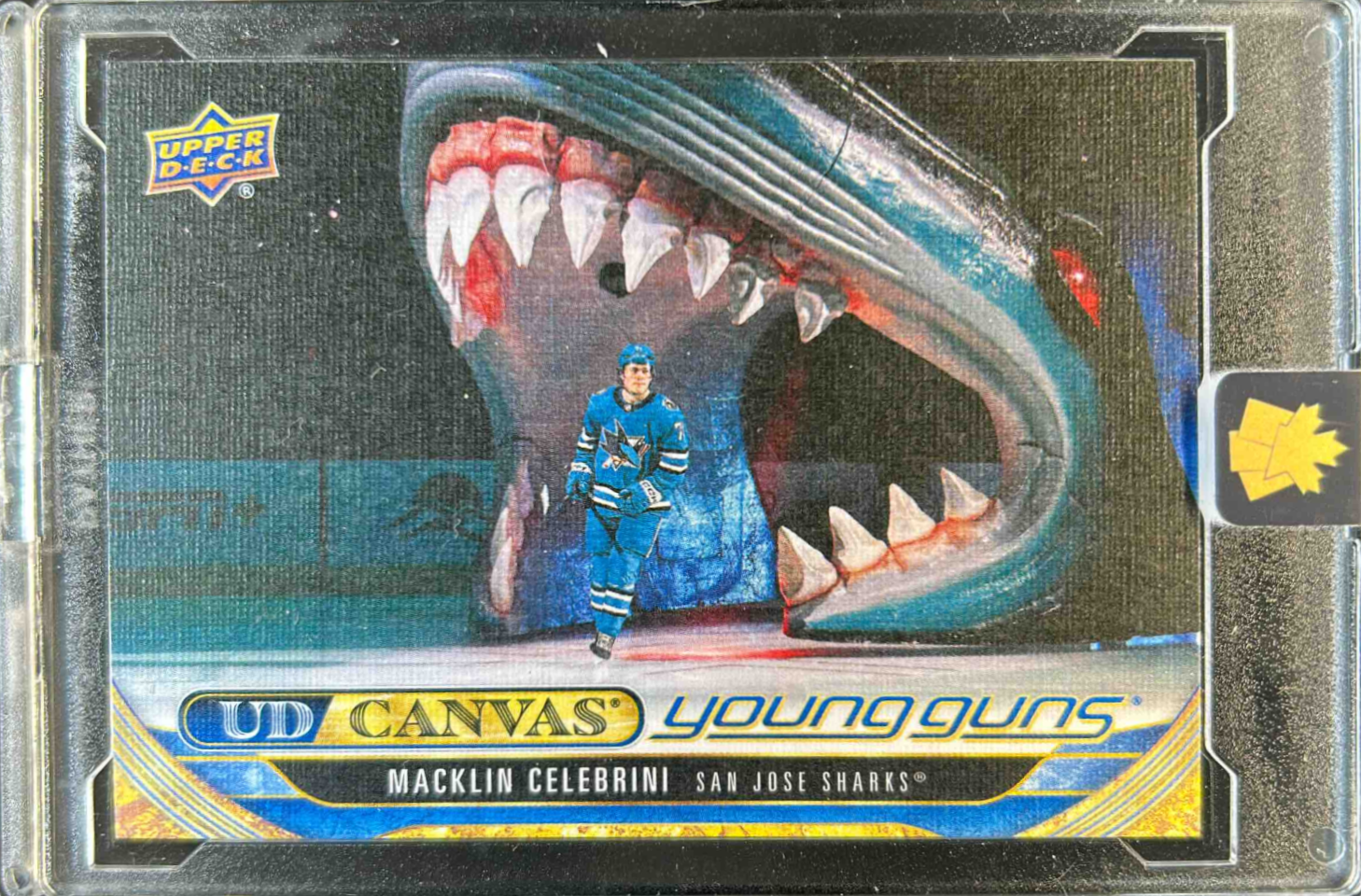 Macklin Celebrini 2024 Upper Deck Extended Series #C360 UD Canvas 