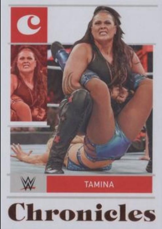 2022 Chronicles WWE #47 Bronze