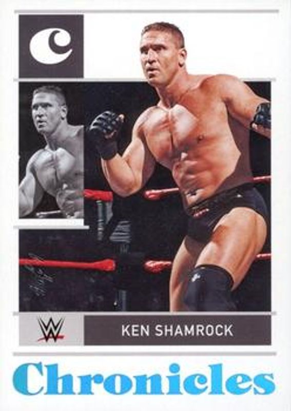 2022 Chronicles WWE #24 Platinum /1