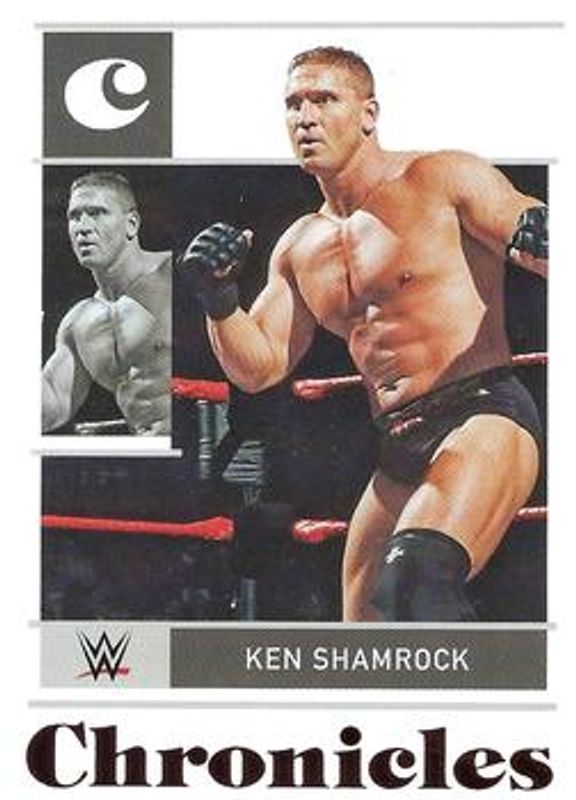 2022 Chronicles WWE #24 Bronze