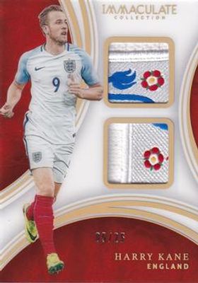 2017 Immaculate #AD-HK Acetate Dual Patches /35