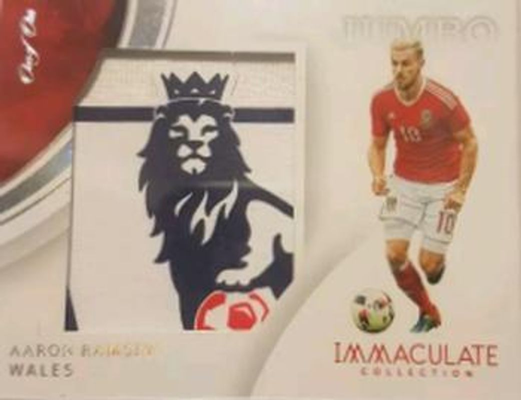 2017 Immaculate #JM-AR Jumbo Memorabilia - Platinum /1